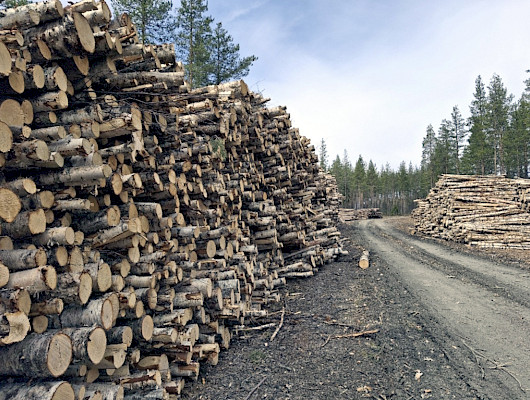 Metsäautoteiden kunto on yksi suometsien puunkorjuun suurimmista pullonkauloista tulevina vuosina. Kuvaaja: Sari Hilli