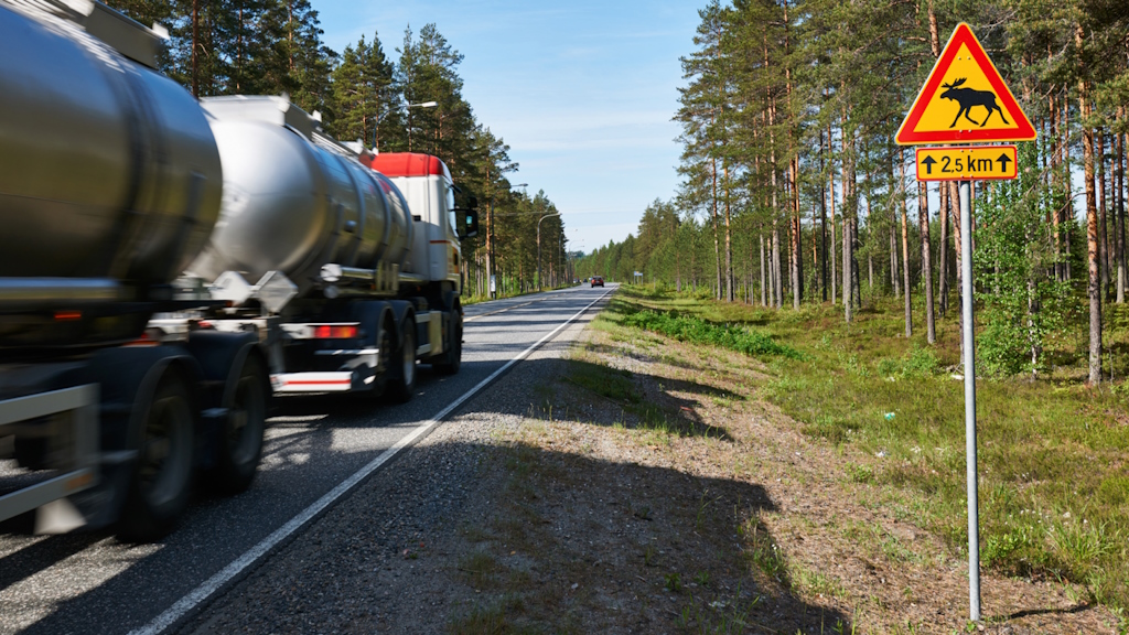 Pikkuteissä on potentiaalia tutkimukselle, sillä ne edustavat valtaosaa tieverkosta ja sen korjausvelasta. Hiussuonisto on välttämätön elinkeinoelämälle. © Adobe Stock